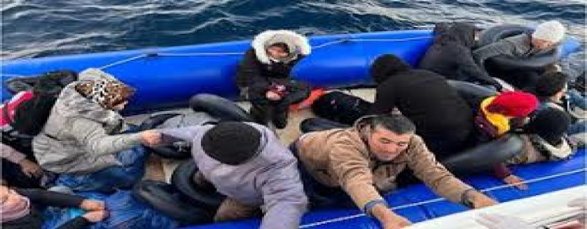 وکیل پرونده‌های قاچاق انسان و مهاجران غیرقانونی